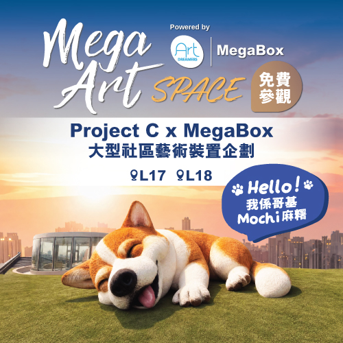 Mega Art Space